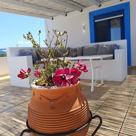 Nautilus Beach House Paradíszi Kültér fotó