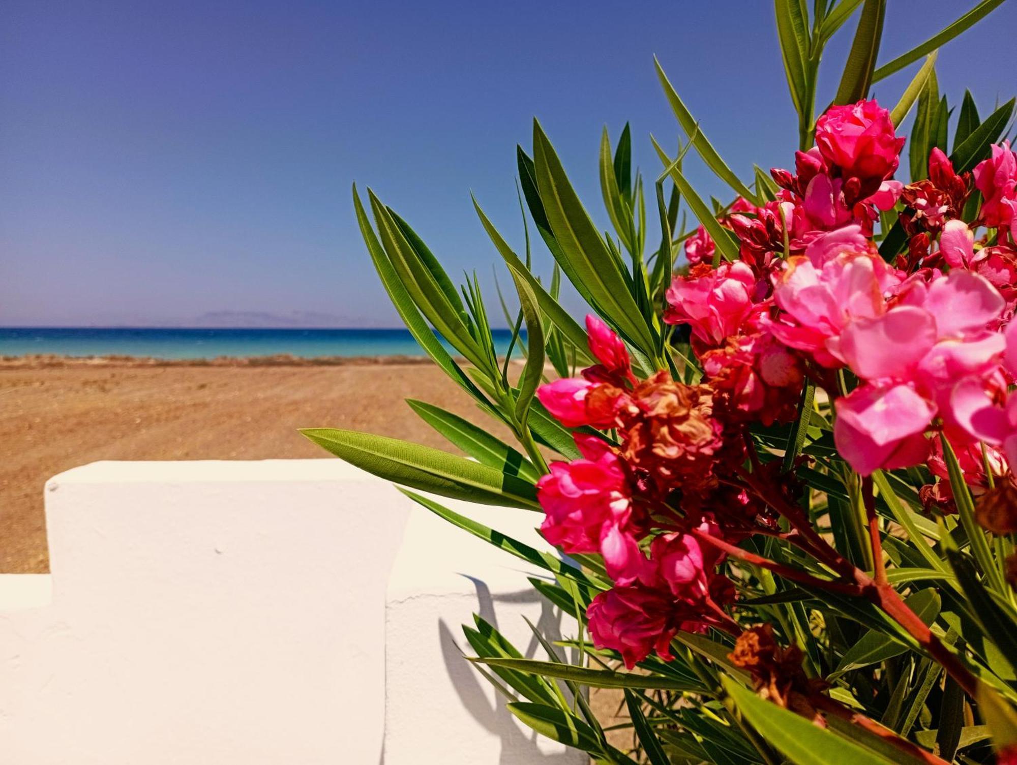 Nautilus Beach House Paradíszi Kültér fotó