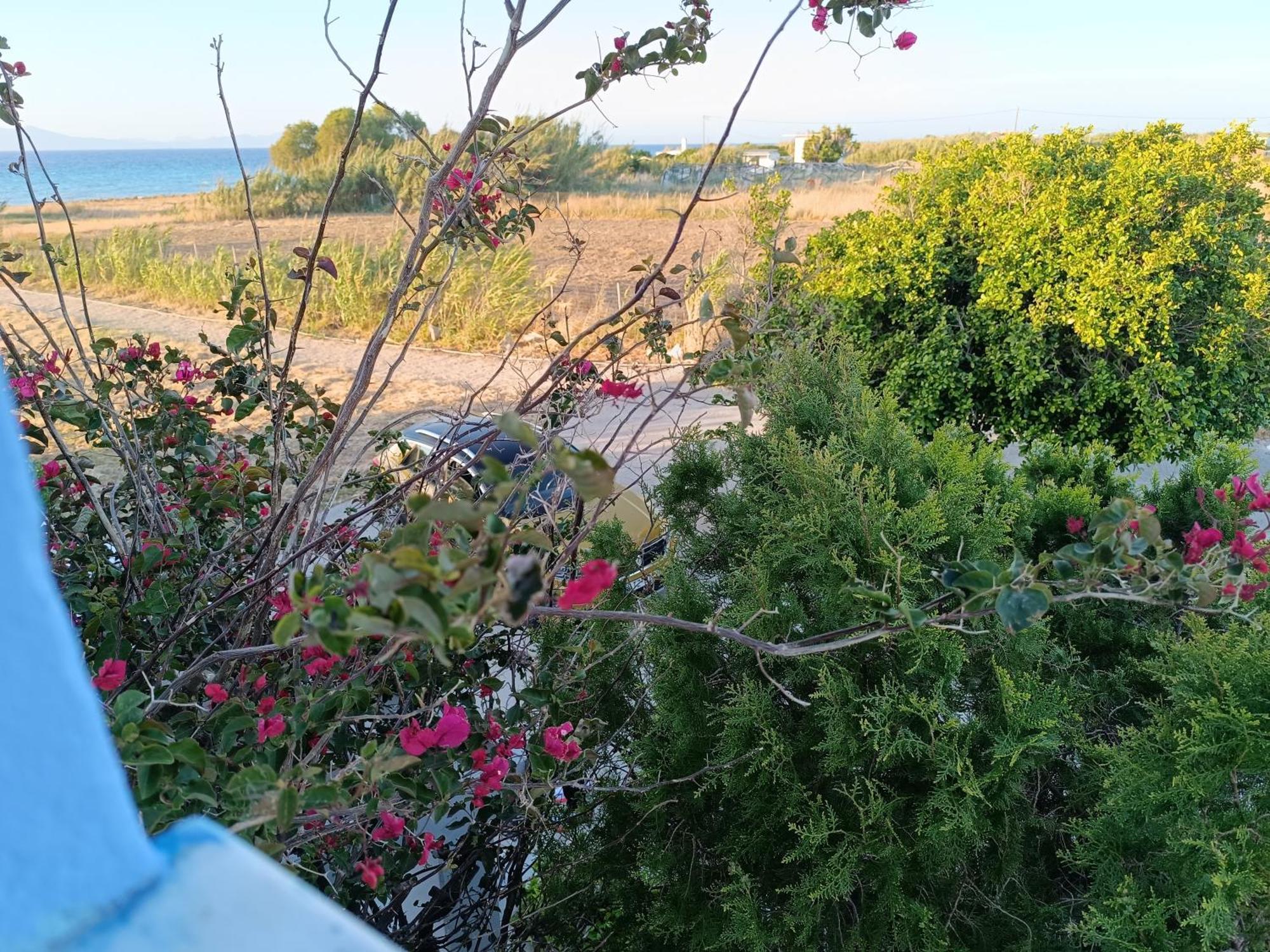 Nautilus Beach House Paradíszi Kültér fotó